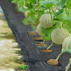 Landscape Fabric Weed Barrier 3 ft. x 25 ft. 3.0 oz. Ground Cover Garden Mats with Planting Hole: 6 in. Dia