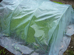 5 ft. Long with Dia 0.43 in. Steel Greenhouse Hoops, Rust Free Grow Tunnel, Support Hoops for Garden  6 Pack