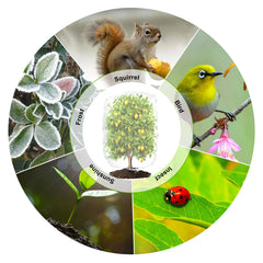 84 in. W x 72 in. H inGarden Insect Netting Plant Cover Shape Bag with Zipper and Rope, Insect Barrier, White