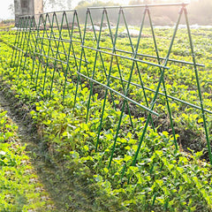 0.4 inch Dia x 71 inch Sturdy Steel Garden Stakes Plastic Coated Plant Stakes for Climbing Plants 20 Pack