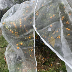 84 in. W x 72 in. H inGarden Insect Netting Plant Cover Shape Bag with Zipper and Rope, Insect Barrier, White