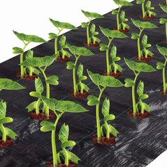 Agfabric Landscape Easy Plant 3 ft.x 12 ft. Weed Block for Raised Bed Outdoor Garden Weed Rugs Garden mat 3.0oz with Planting Hole Dia 4 in.