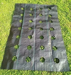Agfabric Landscape Easy Plant 3 ft.x 12 ft. Weed Block for Raised Bed Outdoor Garden Weed Rugs Garden mat 3.0oz with Planting Hole Dia 4 in.