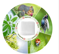 Outdoor Garden Netting Mesh Fabric Net Screen for Protecting Plants Vegetables Flowers Fruits White 5 ft. x 50 ft.