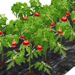 4 ft. x 12 ft. Weed Control Fabric Planting Holes for Vegetable Garden Landscape with 6 in. Dia
