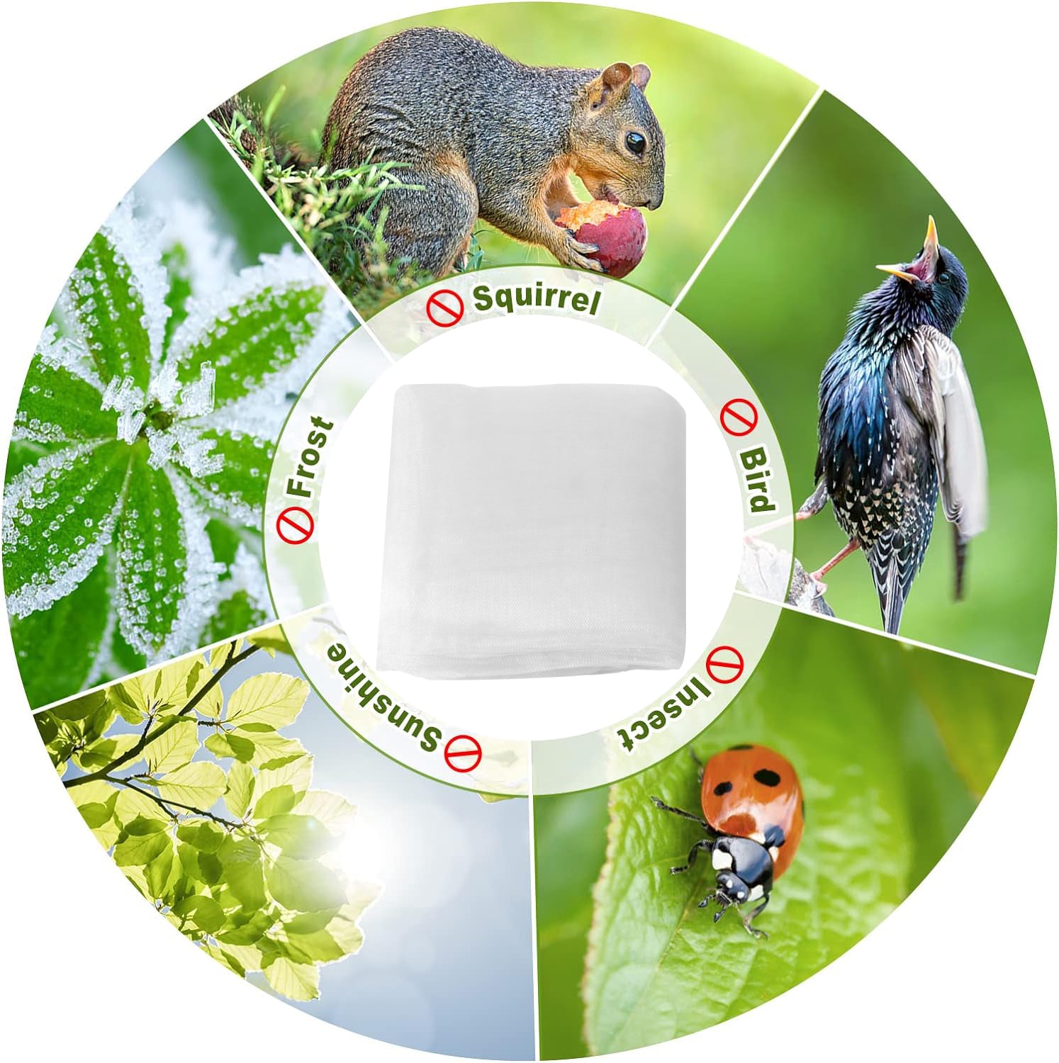 6.5 ft. x 15 ft. of Mesh Netting Standard Insect Screen and Garden Netting Against Bugs, Birds and Squirrels, White