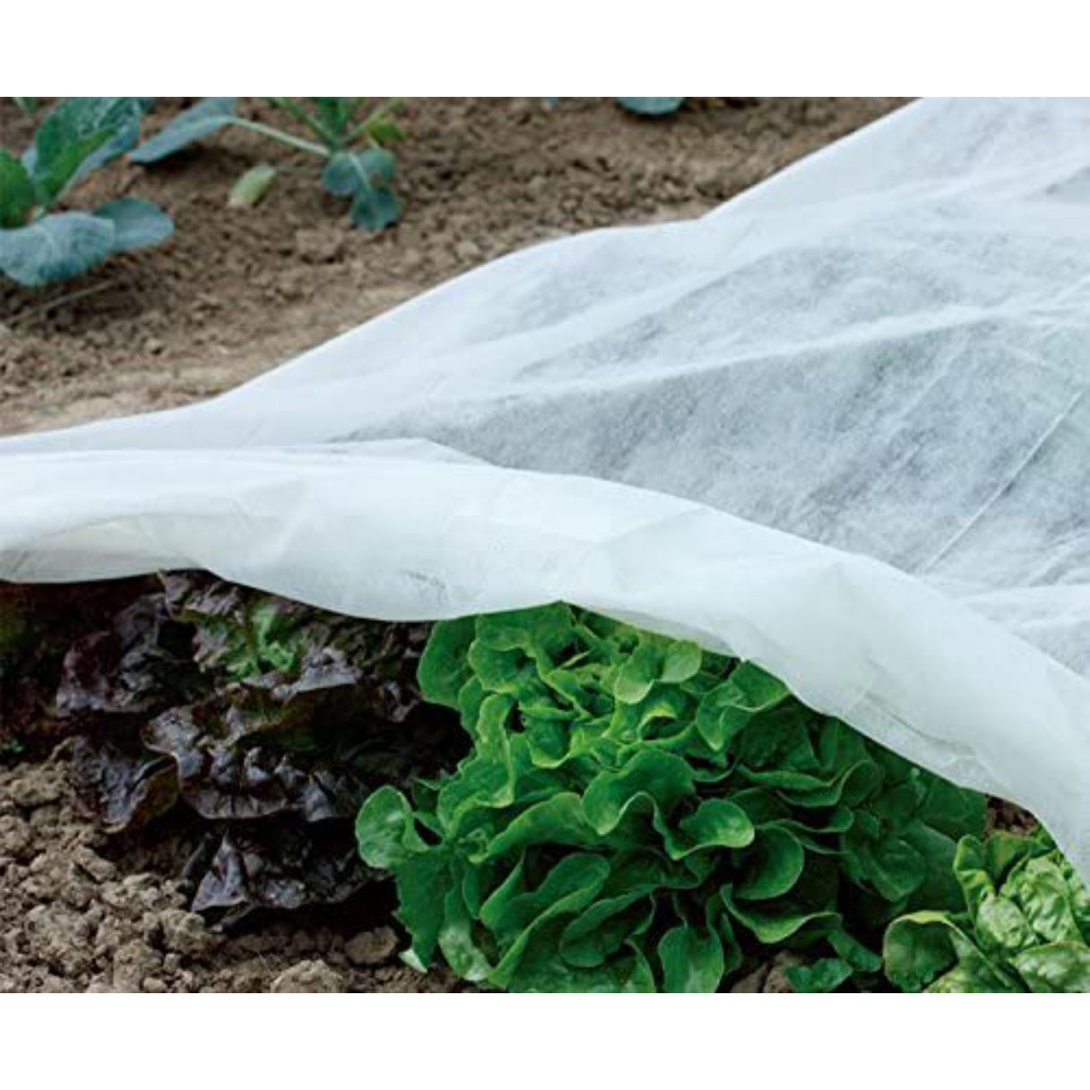 0.55 oz 7 ft x 100 ft Floating Row Cover Plant Blanket for Frost Protection and Terrible Weather Resistant